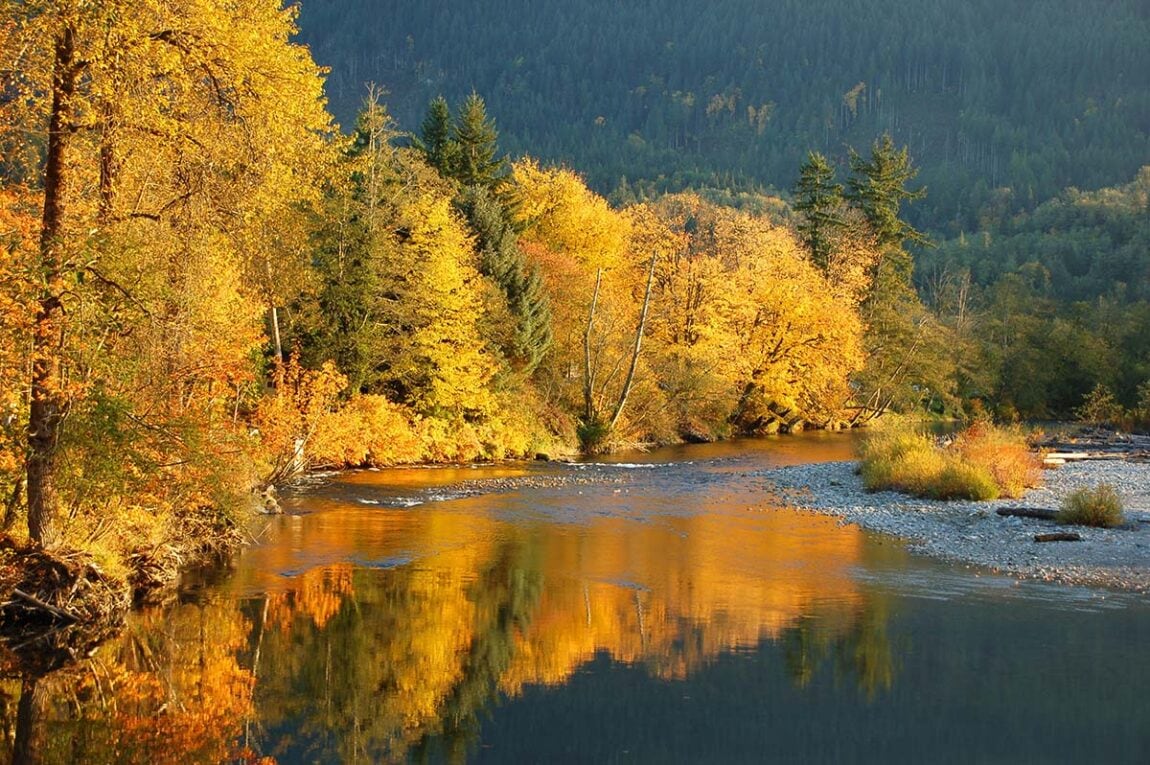 Scenic Drives In Washington State That Ll Blow Your Mind Territory