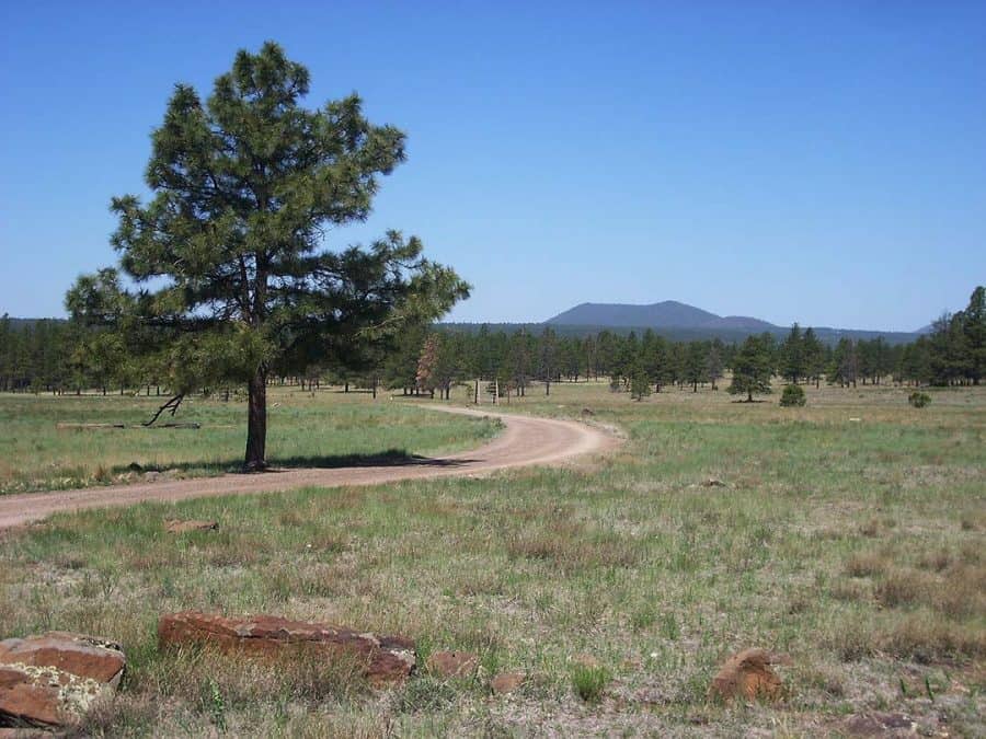 30 Best Flagstaff Hikes: Explore the Arizona High Country