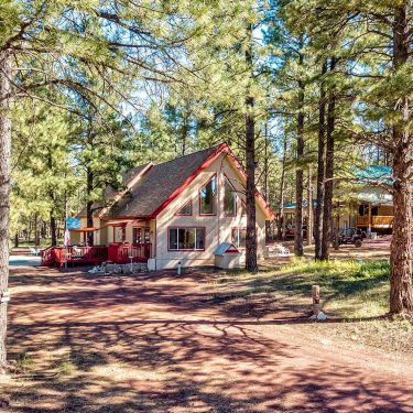 Ruff N It 20 Pet Friendly Cabin Rentals In Arizona Territory Supply