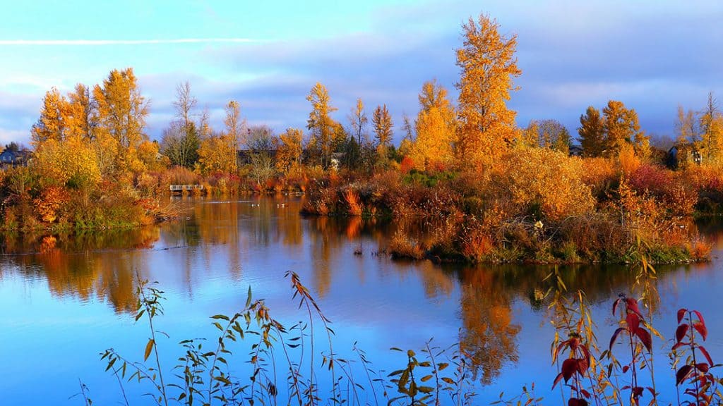 21 Spectacular Hikes Near Eugene, Oregon - Territory Supply