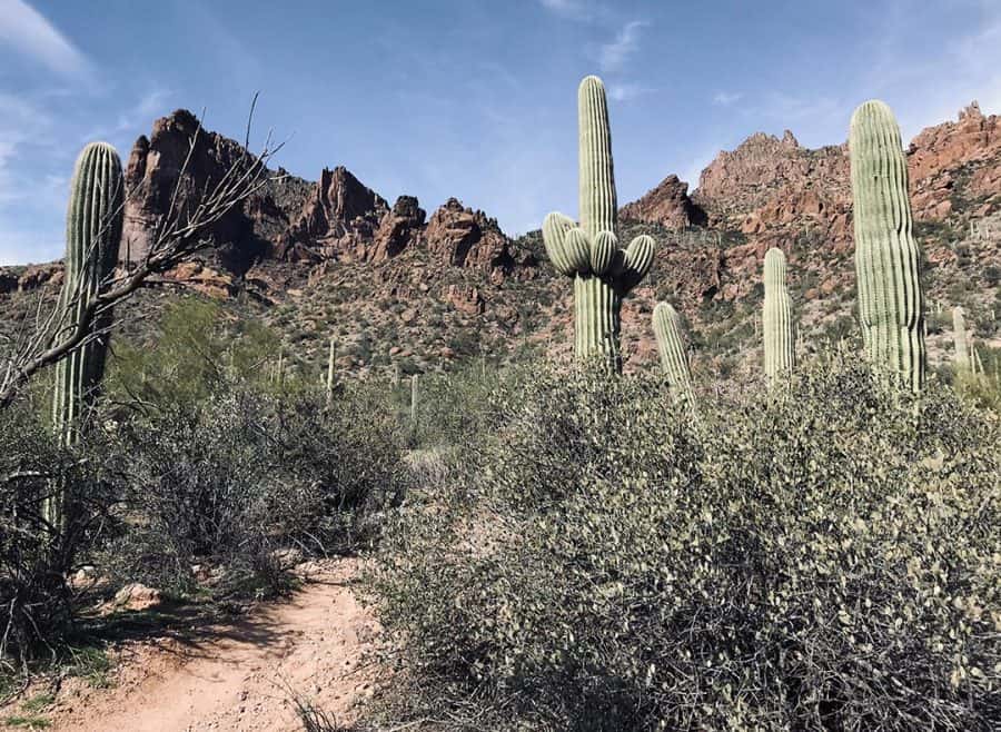 Exploring Arizona's Wave Cave Trail - Territory Supply