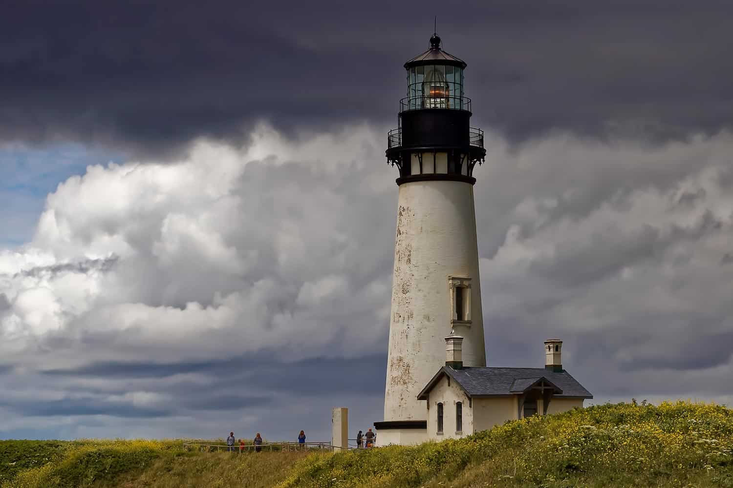 Coastal Lighthouse Oregon Br