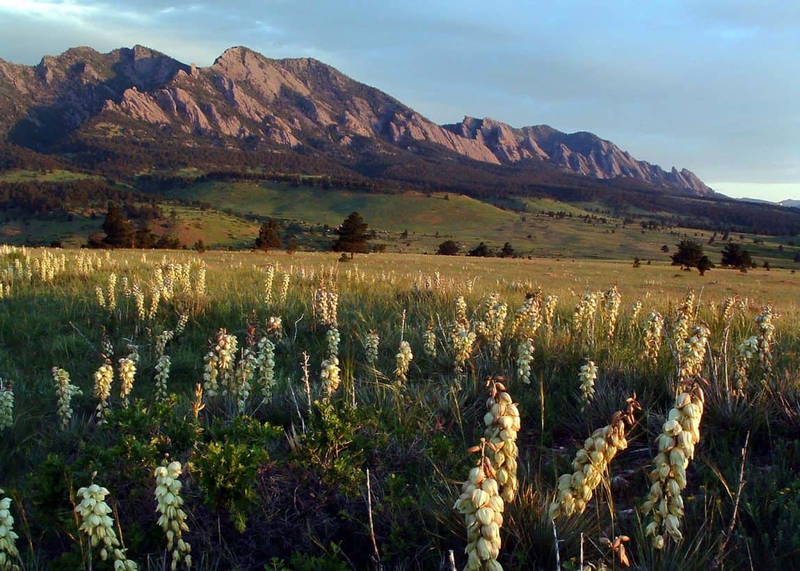 15 Best Day Hikes Near Denver Boulder Colorado