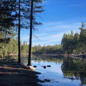 Mogollon Rim Camping & Hiking Guide