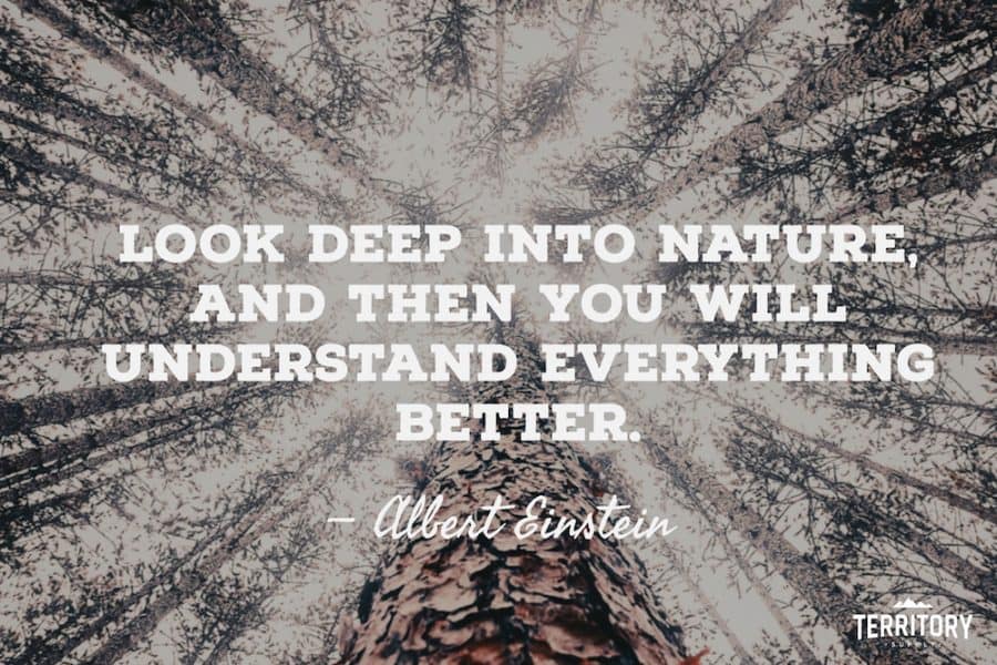 60+ Epic Camping Quotes On The Great Outdoors