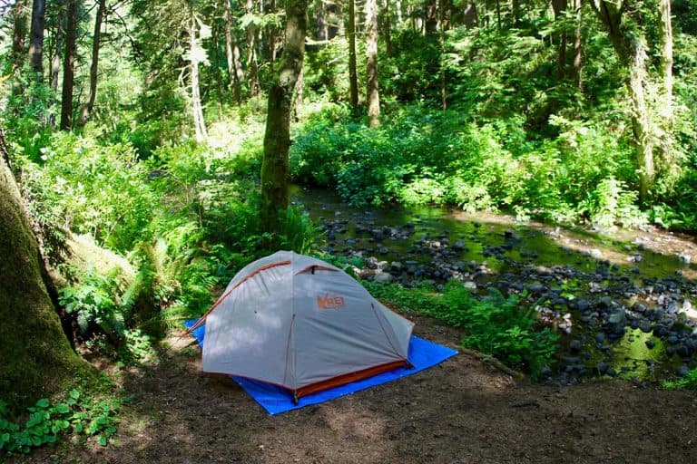 18 Best Camping Spots on the Oregon Coast