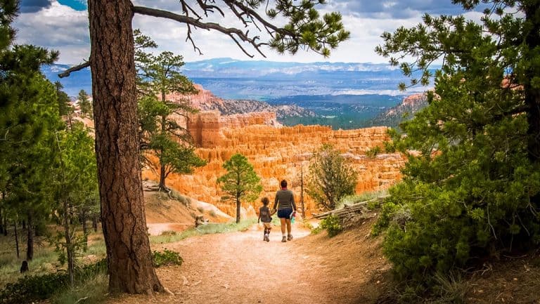 10 Best Hikes At Bryce Canyon National Park | Territory Supply