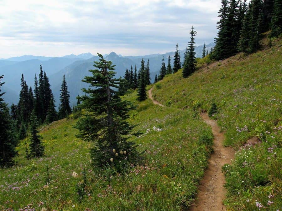 14 Best Hikes In Mount Rainier National Park, Washington