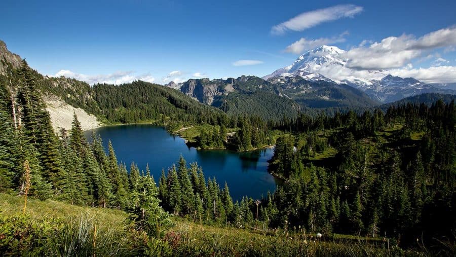 14 Best Hikes in Mount Rainier National Park, Washington