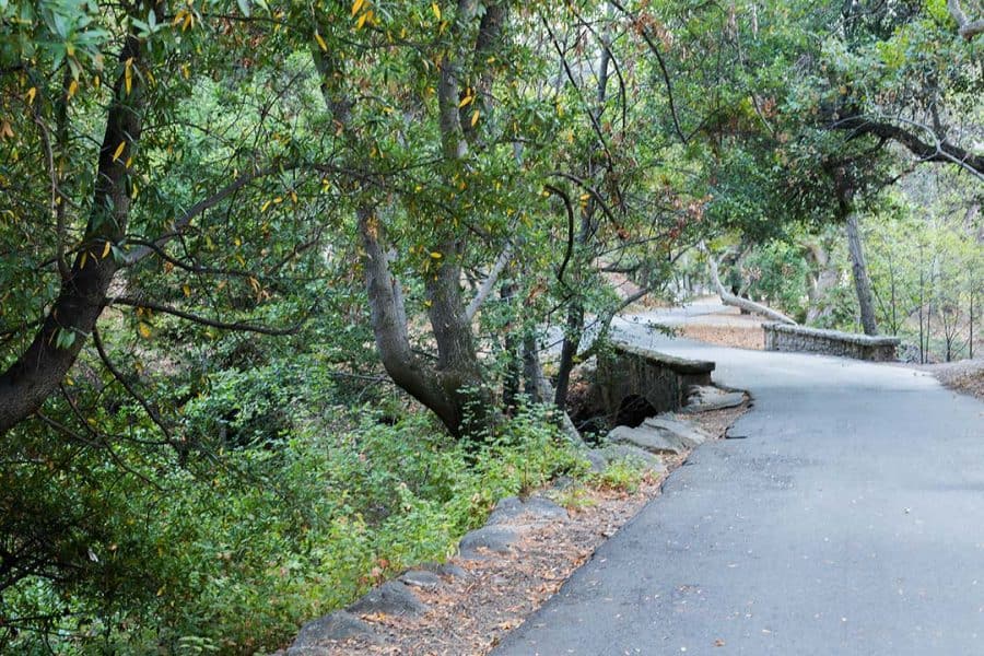 South Bay Hikes: 14 Hikes Near San Jose With Stunning Views