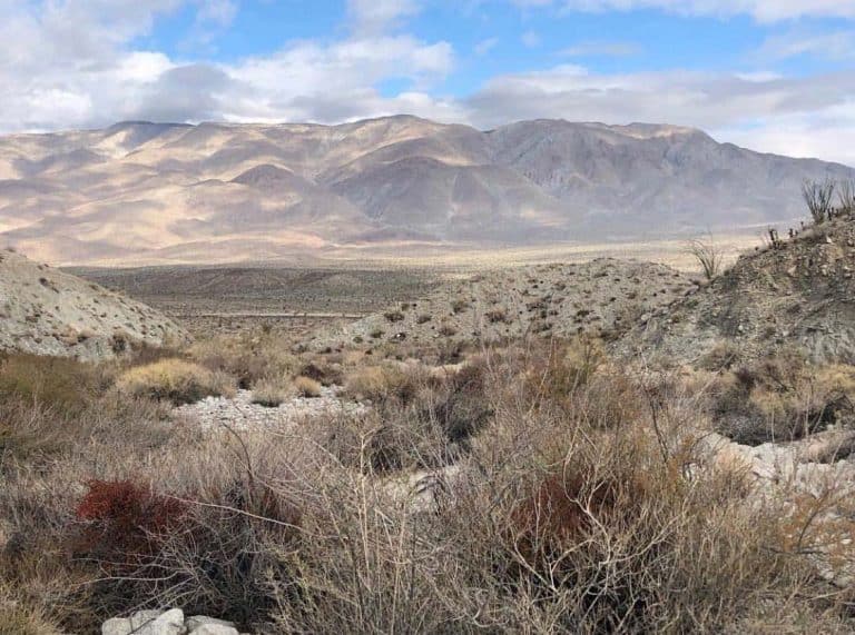 12 Gorgeous Camping Spots in Anza-Borrego Desert State Park - Territory ...