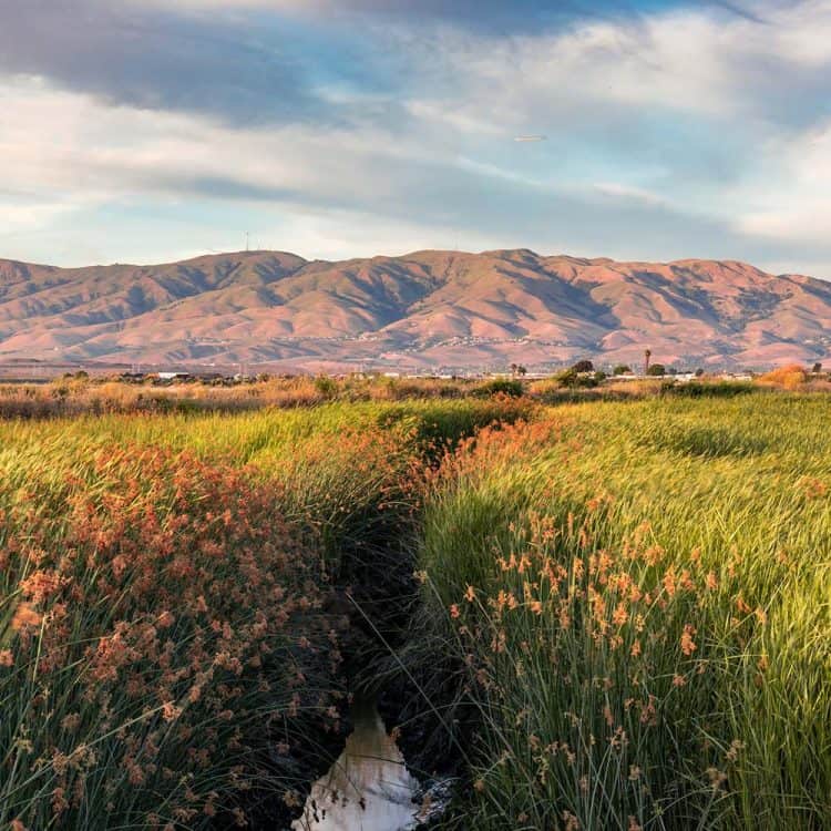 11 Stunning Hikes Near Santa Cruz, California