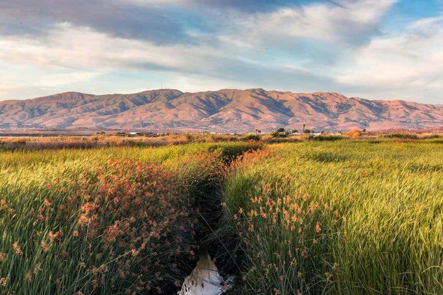 14 Hikes Near San Jose With Stunning South Bay Views