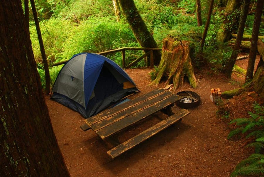 Escape To Chirpchatter: Your Northern California Campground Adventure