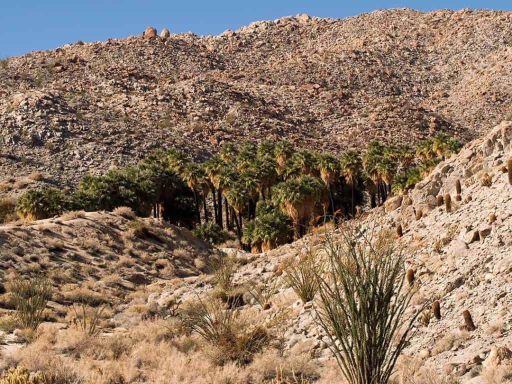 12 Gorgeous Camping Spots In Anza-Borrego Desert State Park - Territory ...