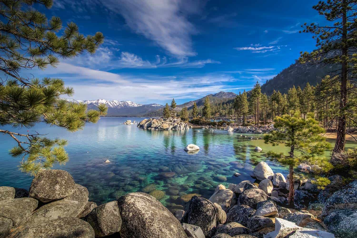 Lake Tahoe dispensablery