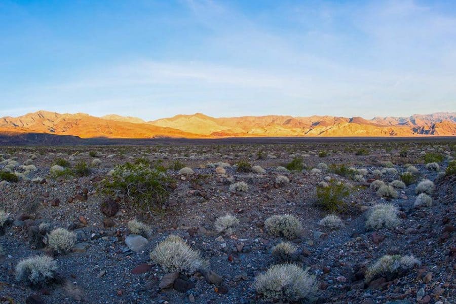 11 Best Campgrounds in Death Valley National Park