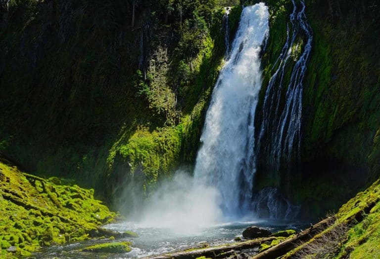 8 of the Most Beautiful Waterfall Hikes in Oregon