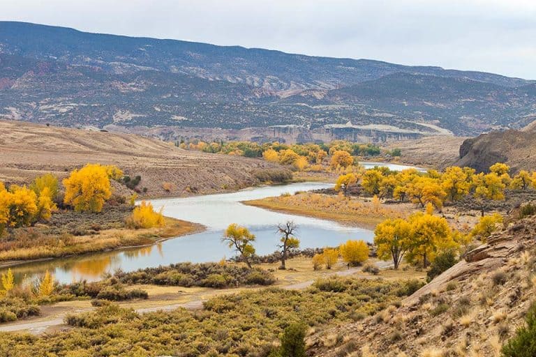 The Beginner's Guide To Fly Fishing In Utah - Territory Supply