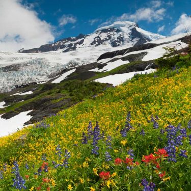 best hikes mt baker