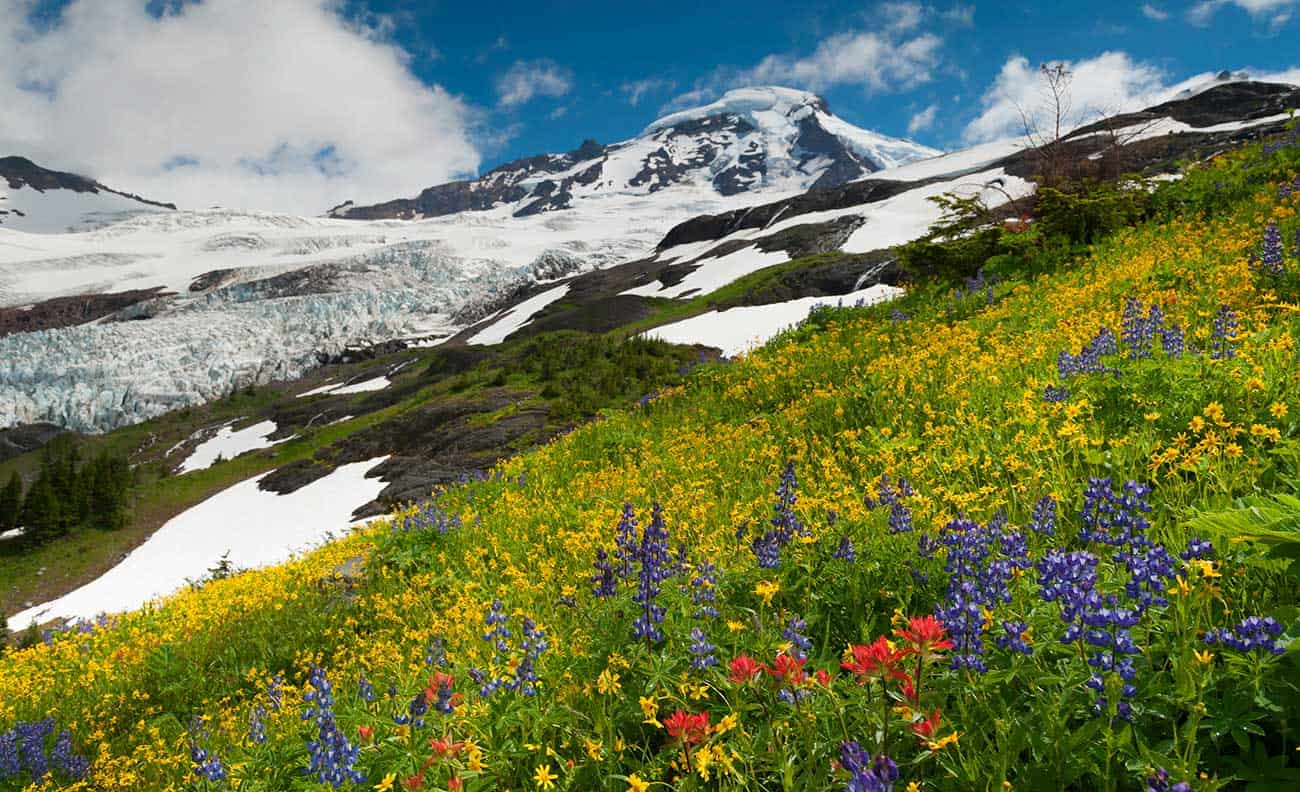 15 Best Hikes in Washington's Mount Baker Wilderness