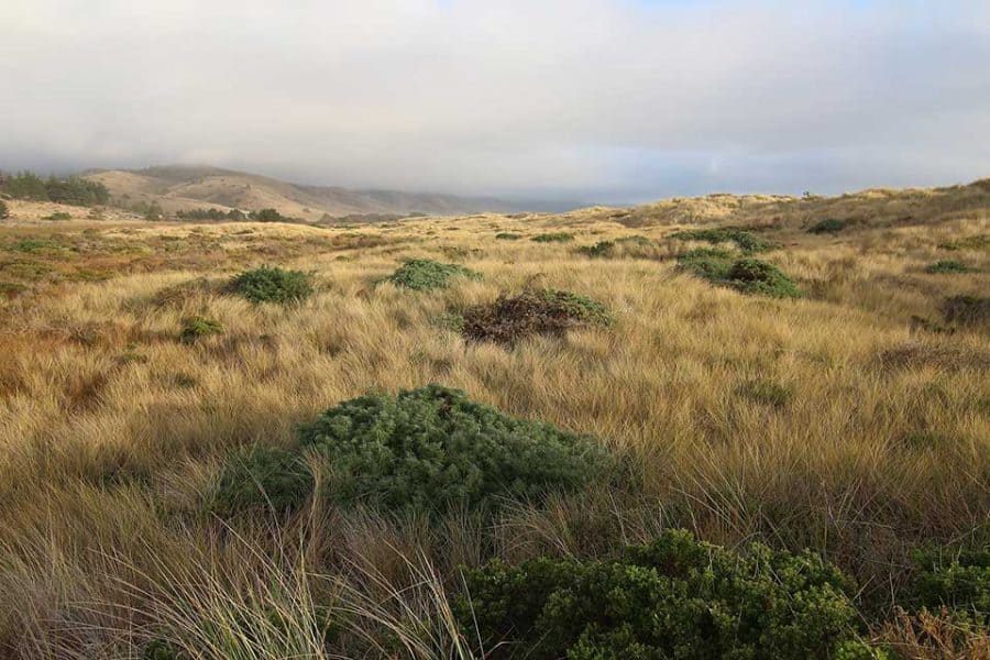 The 14 Best Hikes at Point Reyes National Seashore