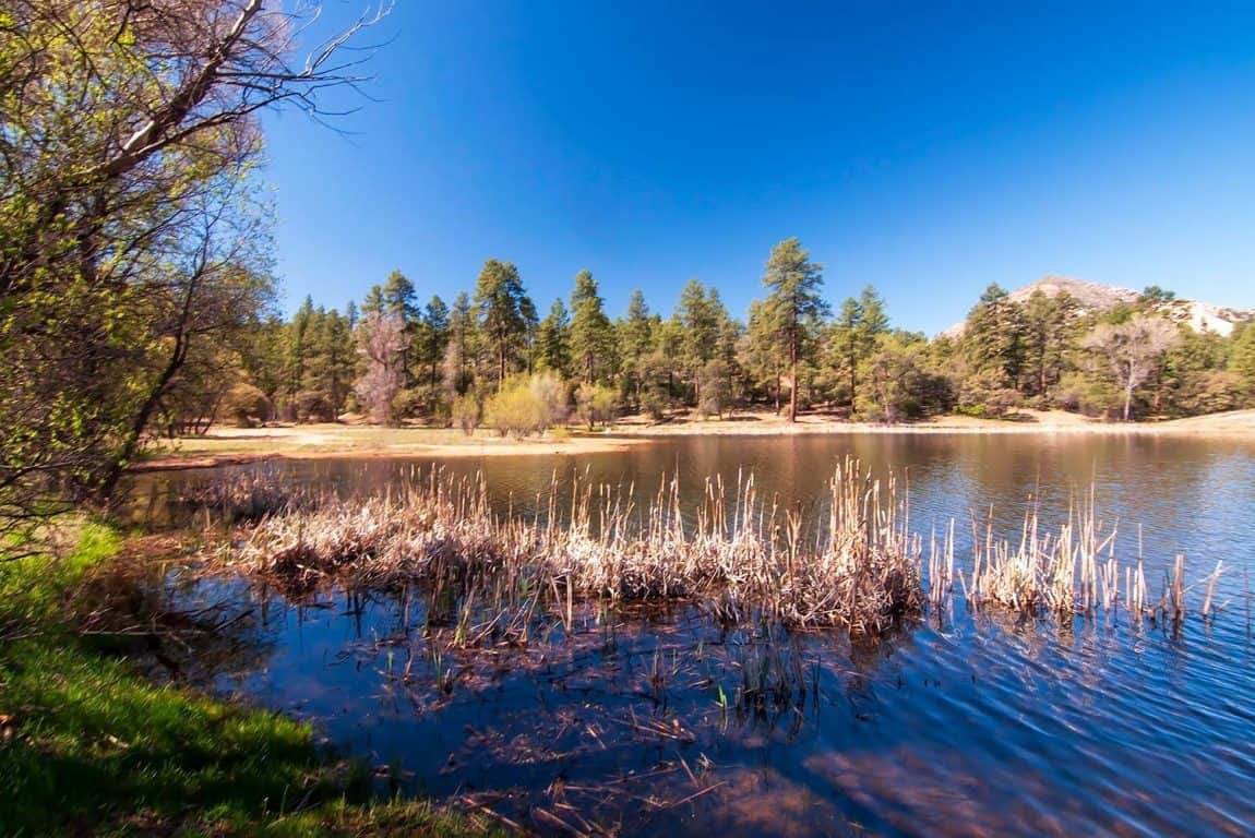 6 Best Camping Spots in the Prescott National Forest