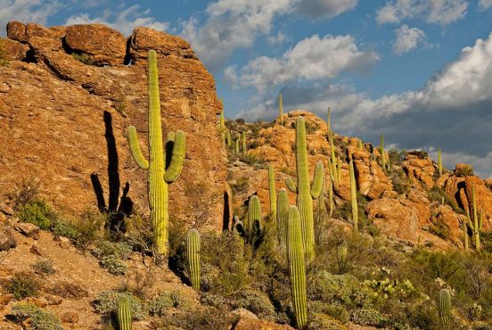 5 Best Camping Spots Near Tucson, Arizona