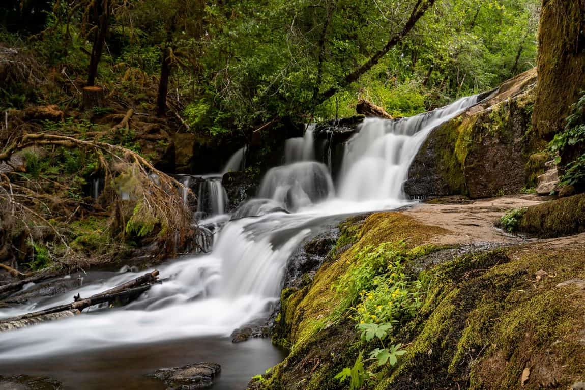 Alsea Falls & Green Peak Falls Trail, Oregon: Hiking Guide