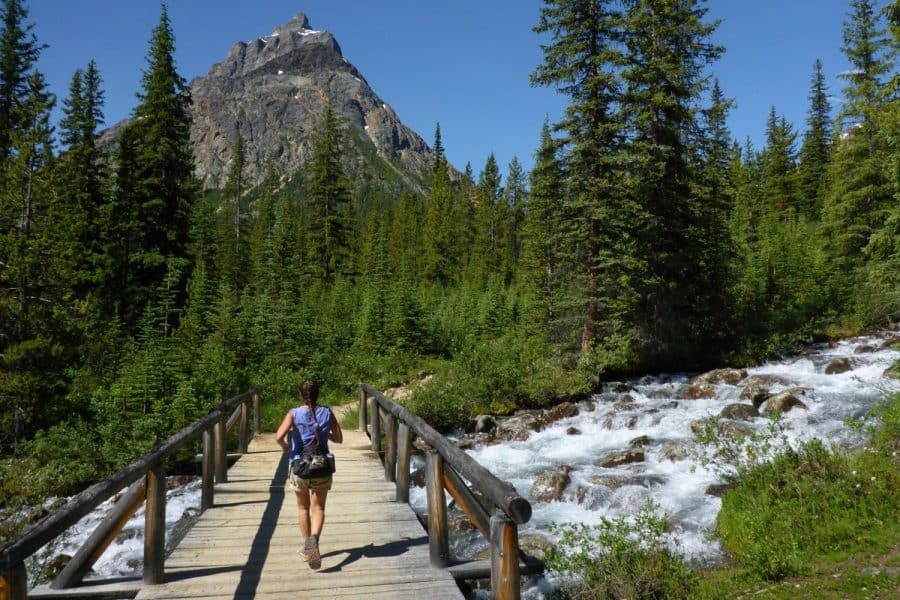 best hiking fanny pack