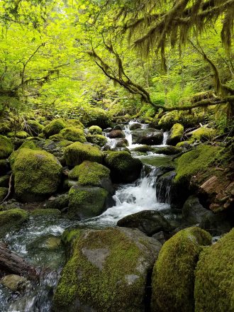 Opal Creek Trail aka the Kopetski Trail, Oregon