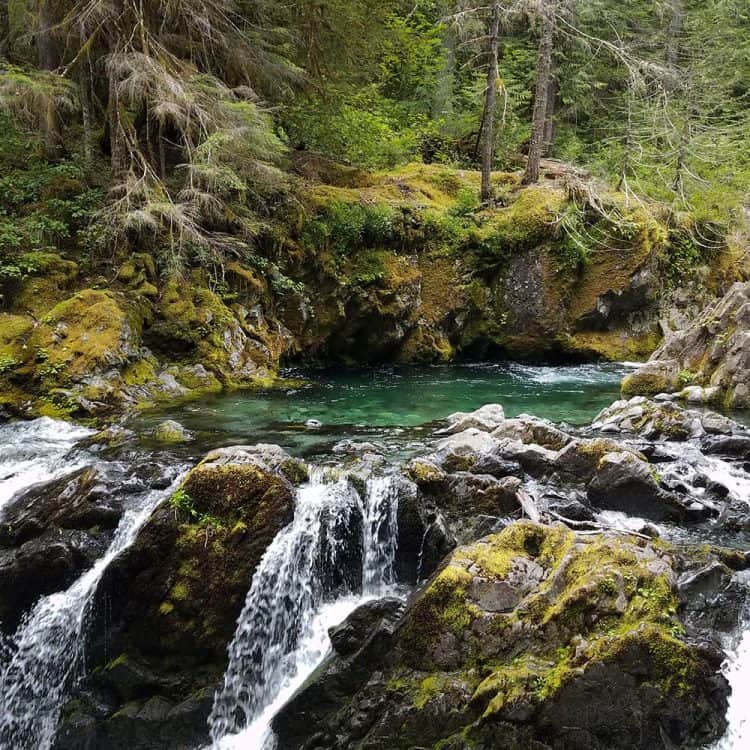 Trail Guide: Green Lakes Trail, Oregon - Territory Supply