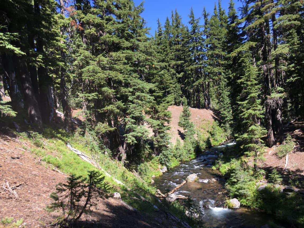 Trail Guide: Green Lakes Trail, Oregon - Territory Supply