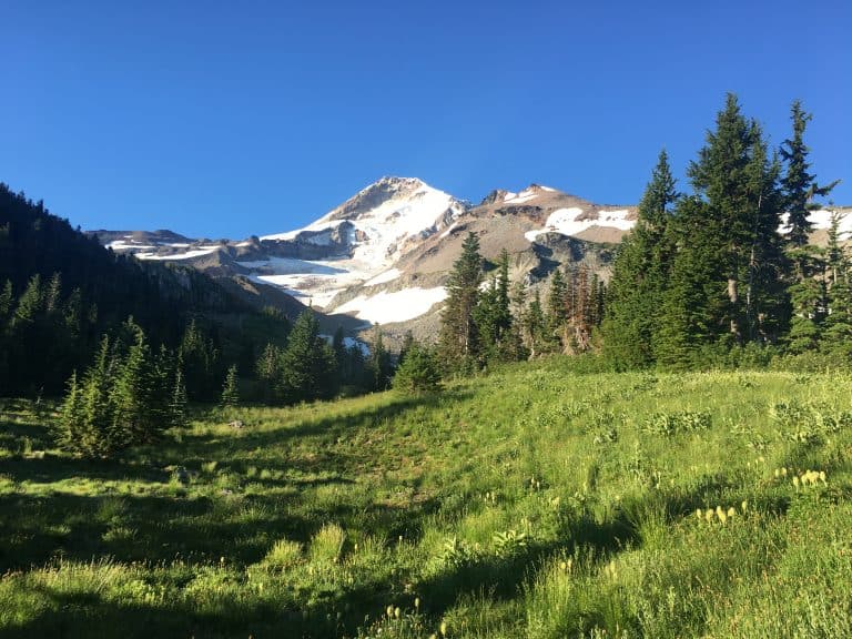 Trail Guide: Timberline Trail at Mount Hood, Oregon