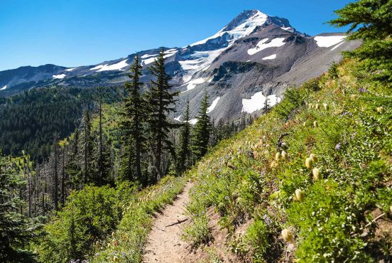 timberline trail mount hood or