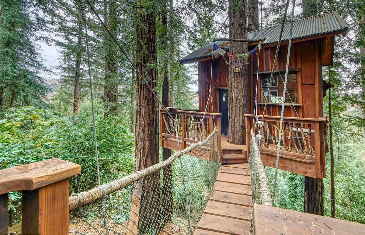 8 Beautiful California Treehouse Rentals You Can Book Now