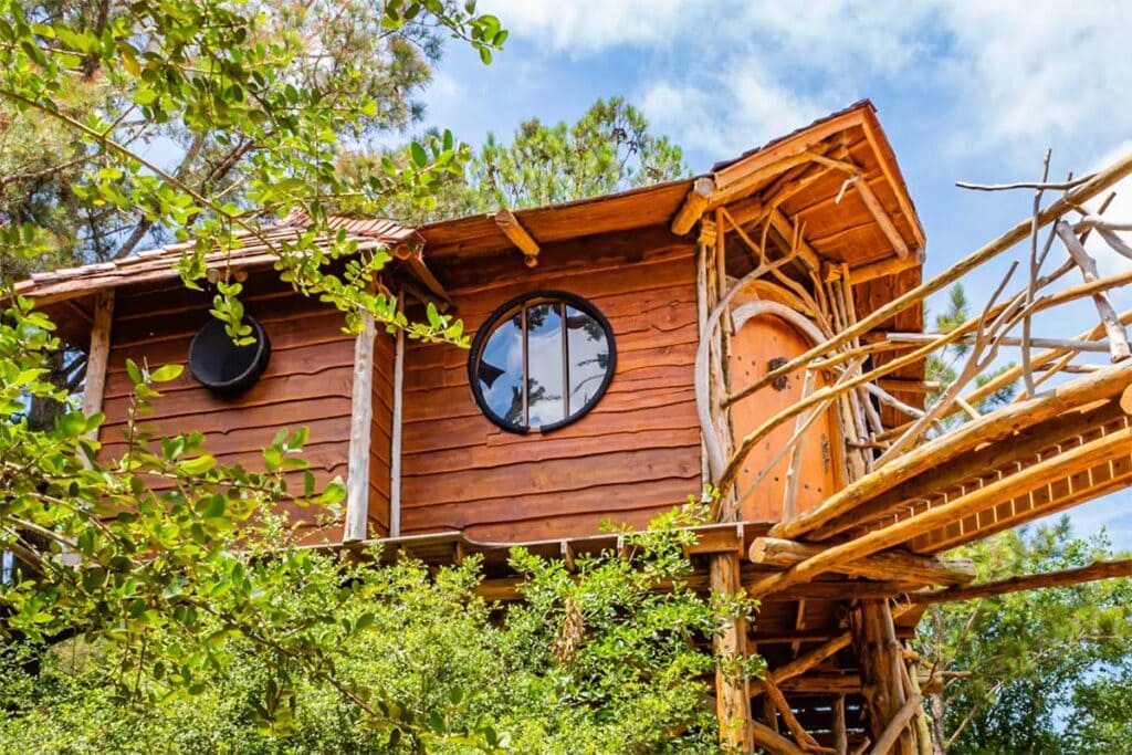 11 Stunning Texas Treehouse Rentals for a Sky-High Getaway