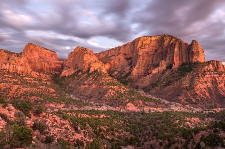 One Day in Zion National Park Itinerary | Territory Supply