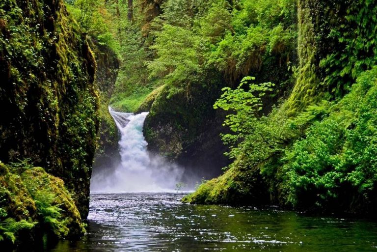 When is the Best Time of Year to Visit Oregon?