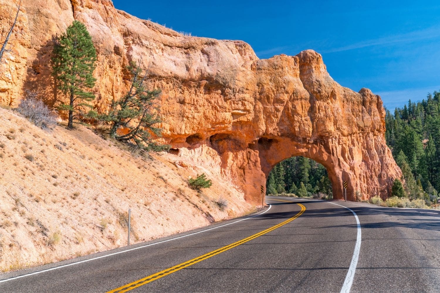 Road Trip Itinerary Zion To Bryce Canyon National Park