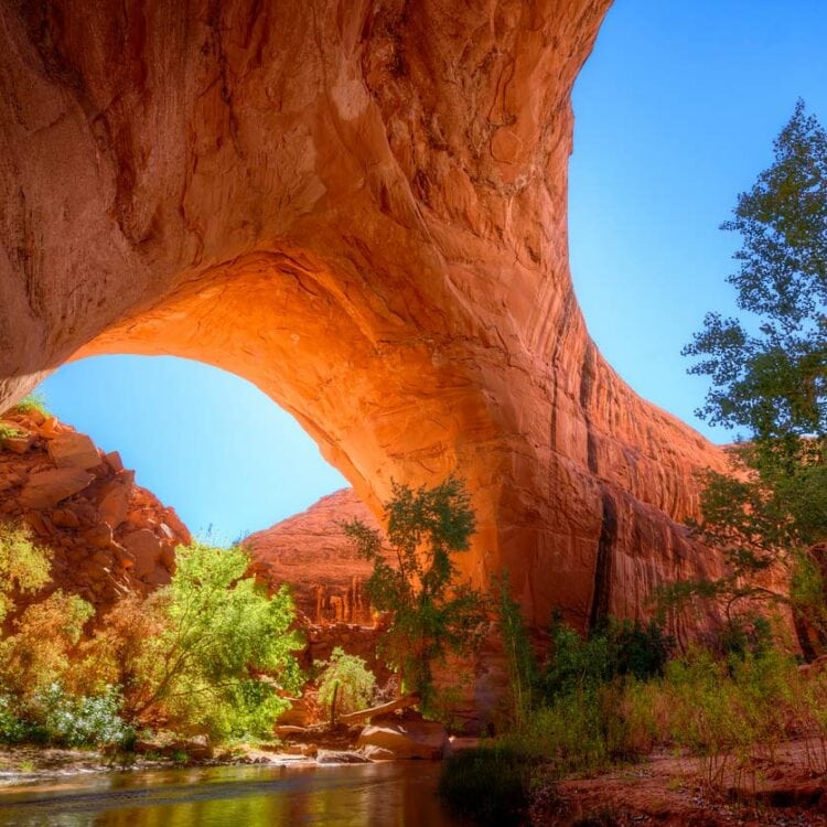 10 Best Things to Do in Escalante, Utah - Territory Supply