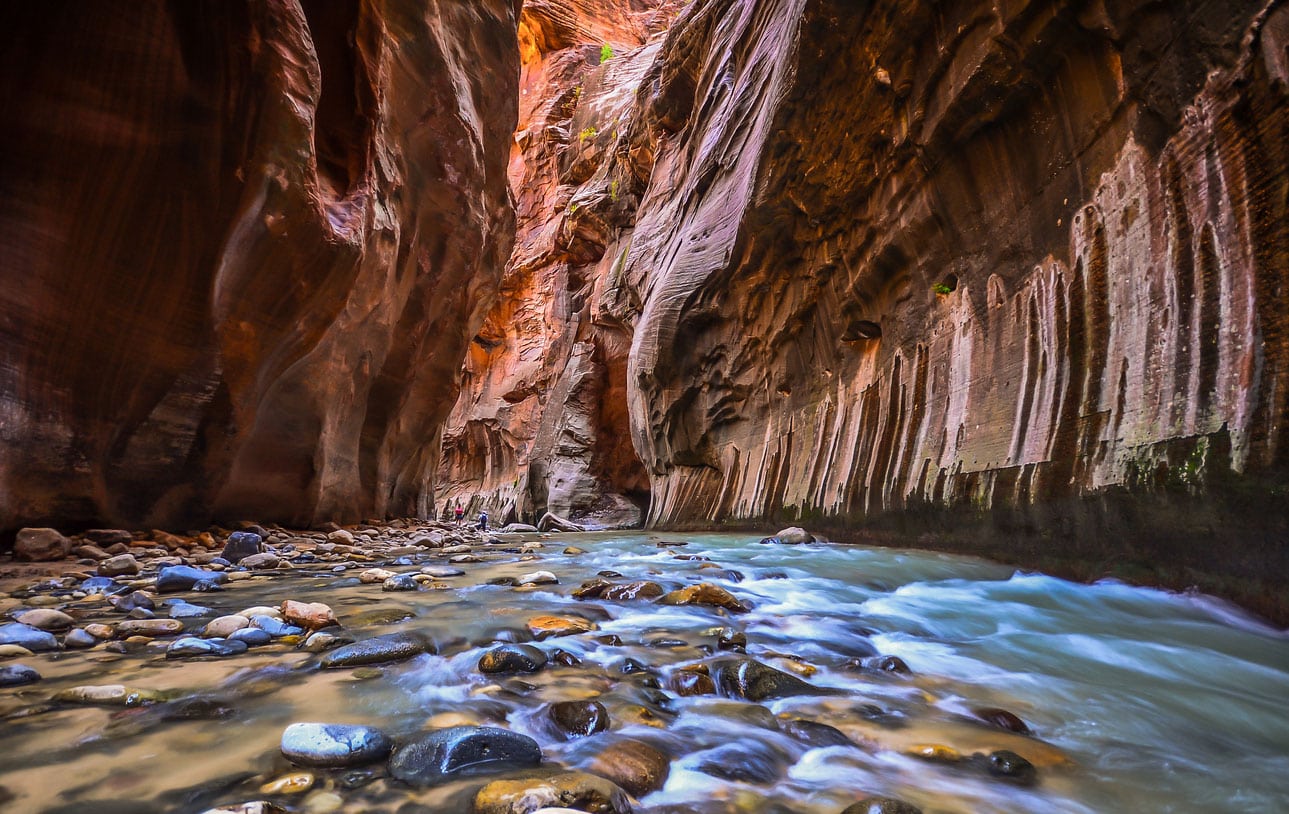 The 14 Best Hikes in Zion National Park, Utah - Territory Supply