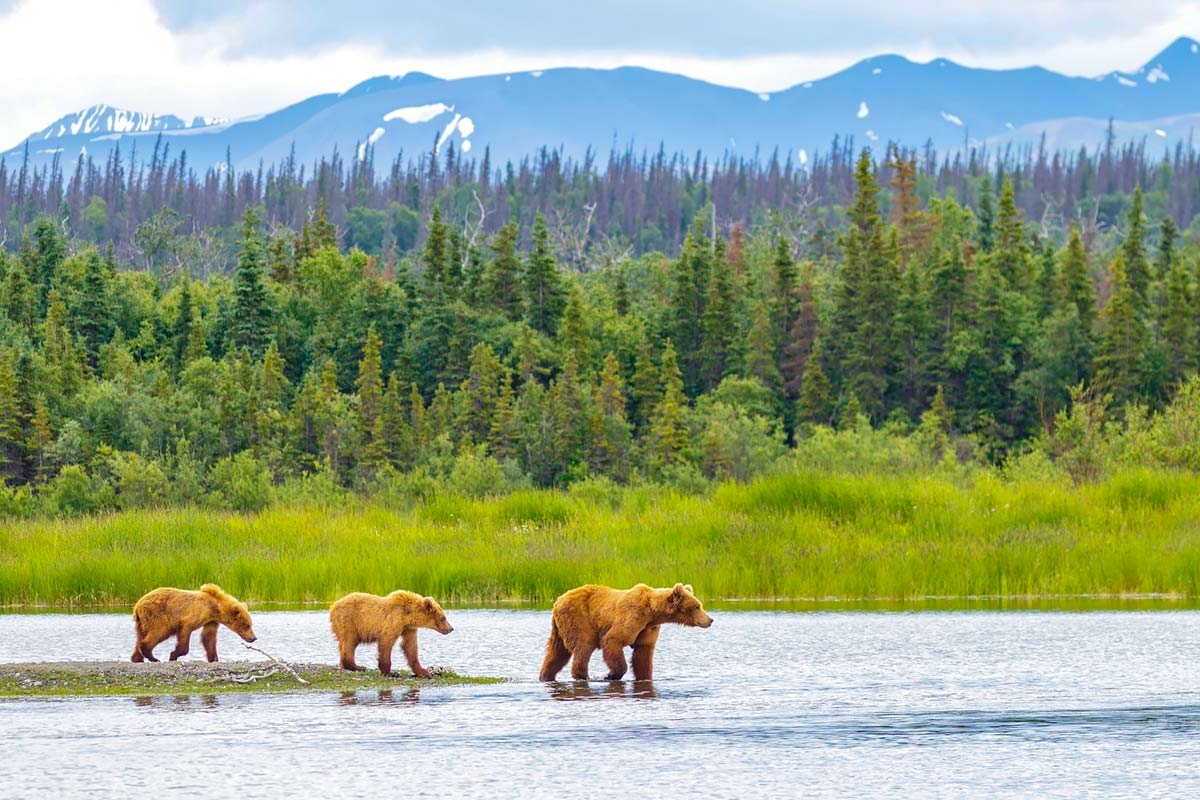 The Best Time To Visit Alaska A Year Round Planning Guide