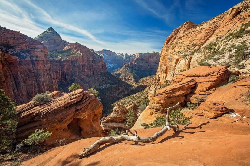 The 14 Best Hikes in Zion National Park, Utah - Territory Supply