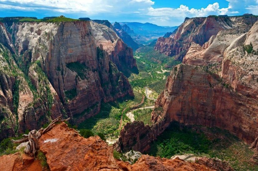 The 14 Best Hikes in Zion National Park, Utah - Territory Supply