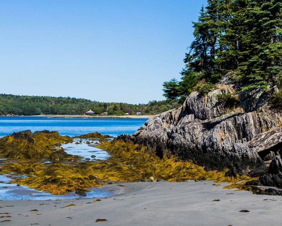 8 Best Beach Camping Spots in New England for an Oceanfront Getaway