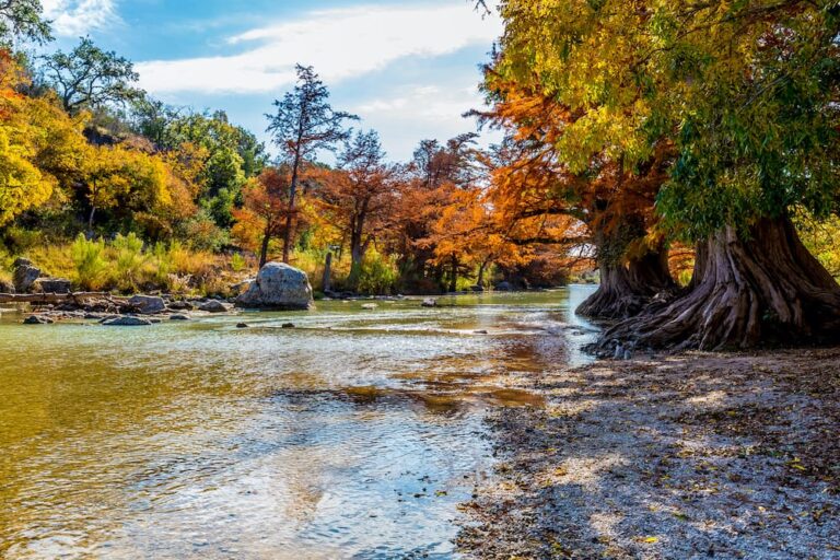 Texas Family Fun: Best State Parks for Making Memories