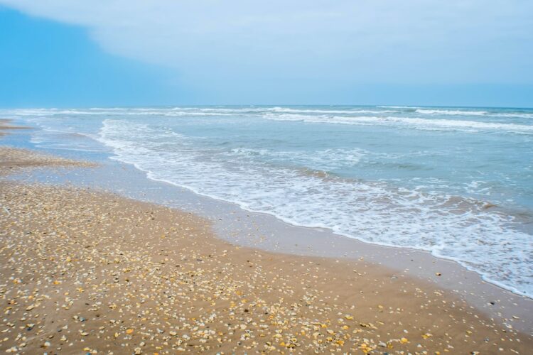 12 Best Beaches in Texas to Enjoy the Sun & Surf