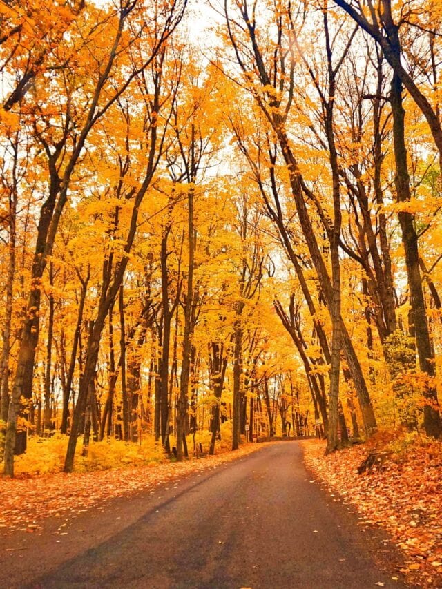 5 Great Places to See Fall Colors in Wisconsin Territory Supply