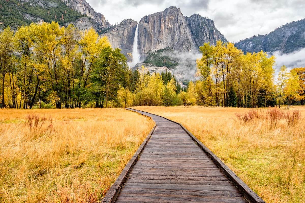 7 Spots to See Fall Colors in California Territory Supply